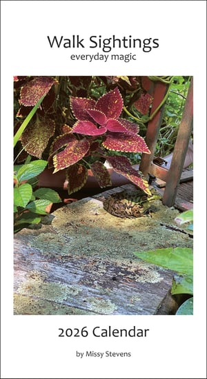 Image of Walk Sightings, everyday magic - 2026 Calendar