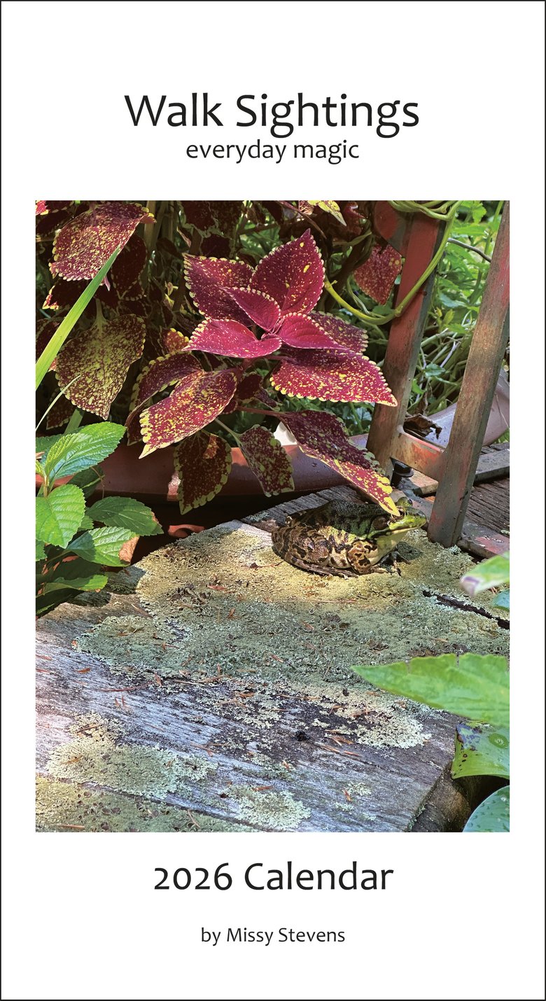 Image of Walk Sightings, everyday magic - 2026 Calendar
