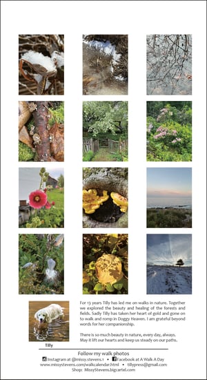 Image of Walk Sightings, everyday magic - 2026 Calendar