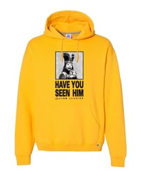 Image 1 of CJ "HYSH" HOODED SWEATSHIRT gold