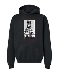 Image 1 of CJ "HYSH" HOODED SWEATSHIRT black
