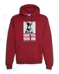 Image 1 of CJ "HYSH" HOODED SWEATSHIRT cardinal