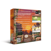 Image 2 of Pokemon Lazarus GBA Cartridge (RTC) + Collectors Box