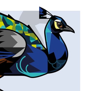 Image of Peacock Landscape - Limited Edition - Print