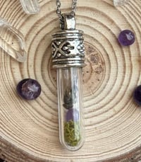 Image 2 of Shoo Fly!