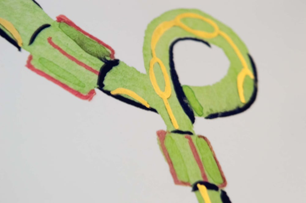 Image of Rayquaza Print with Handpainted Gold