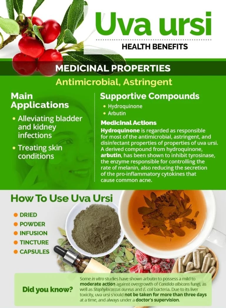 UVA URSI Urinary! UTI-Kidney/Bladder/Bedwetting-Enlarged Prostate-Bronchitis-Constipation-Uric Acid