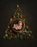 Image 1 of newborn xmas mini session