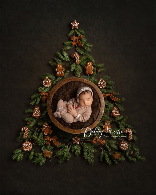 Image of newborn xmas mini session