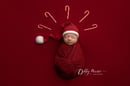 Image 4 of newborn xmas mini session