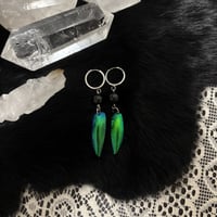 Image 1 of Elytra Wing Earrings