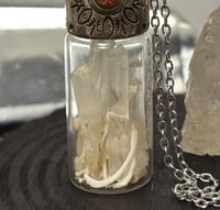 Image 2 of Lg Crystal & Bone Curiosity Bottle Necklace