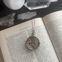 Image 1 of Lg Serpentine Curiosity Locket