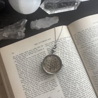 Image 2 of Lg Serpentine Curiosity Locket