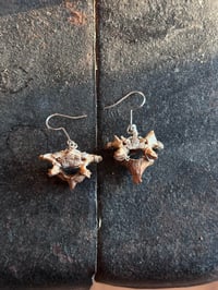 foraged bone earrings