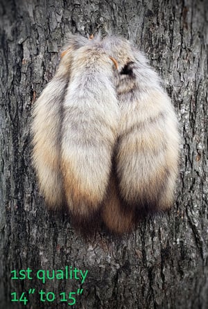 Image of Coyote Tail Keychain