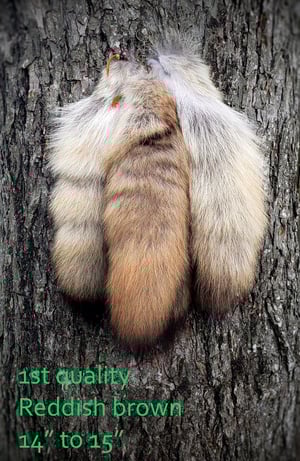 Image of Coyote Tail Keychain