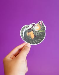 Image 2 of Sleepy Maya