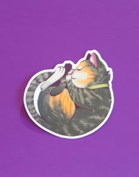 Image 1 of Sleepy Maya