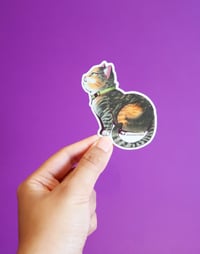 Image 2 of Spacey Maya