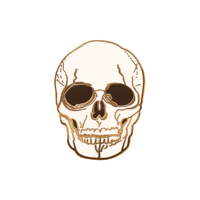 Image 1 of Skull Pin