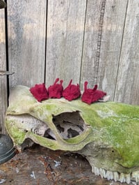 Image 5 of Blood Red 