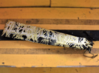 Image 4 of BLEGH Clack Fan