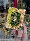 Image 8 of Oddity Frames- Mini Gold