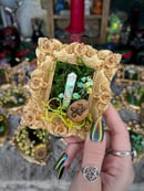 Image 10 of Oddity Frames- Mini Gold