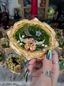 Image 13 of Oddity Frames- Mini Gold