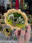 Image 14 of Oddity Frames- Mini Gold