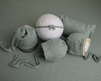 Image 1 of Dewdrop Sage- Curated Colors set