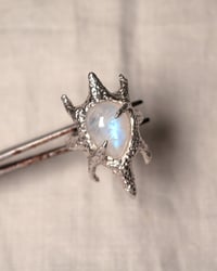 Image 4 of Moonstone Ring