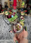 Image 6 of Hanging Protection Bottles