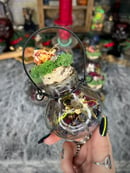 Image 3 of Hanging Protection Bottles