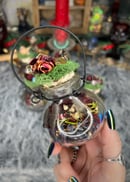 Image 5 of Hanging Protection Bottles