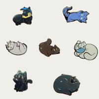 Image 1 of Class 1A Kittens