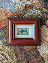 Butterfly in Minoh Park Insectarium 