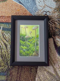 Image 1 of Following the Mushroom Trail