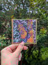 Windy Afternoon in Dunmore Park