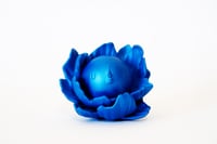 Image 1 of Chibi  Moonflower: Blue