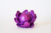 Image 1 of Chibi  Moonflower: Purple