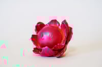 Image 1 of Chibi  Moonflower: Pink