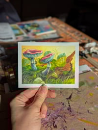 Mushrooms in the Moss