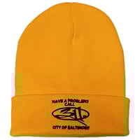311 Have a Problem? Beanie