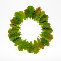 BEUYS' ACORNS (Spring Leaves 28) 