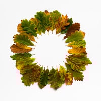 BEUYS' ACORNS (Autumn Leaves 28) 