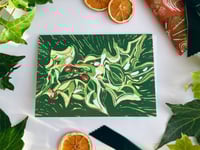 Image 1 of Holly and Berries Linocut Christmas Card 