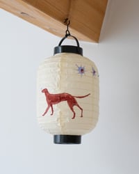 Image 1 of Lantern Dog