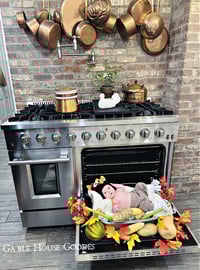 Our Little Turkey "Rowan"